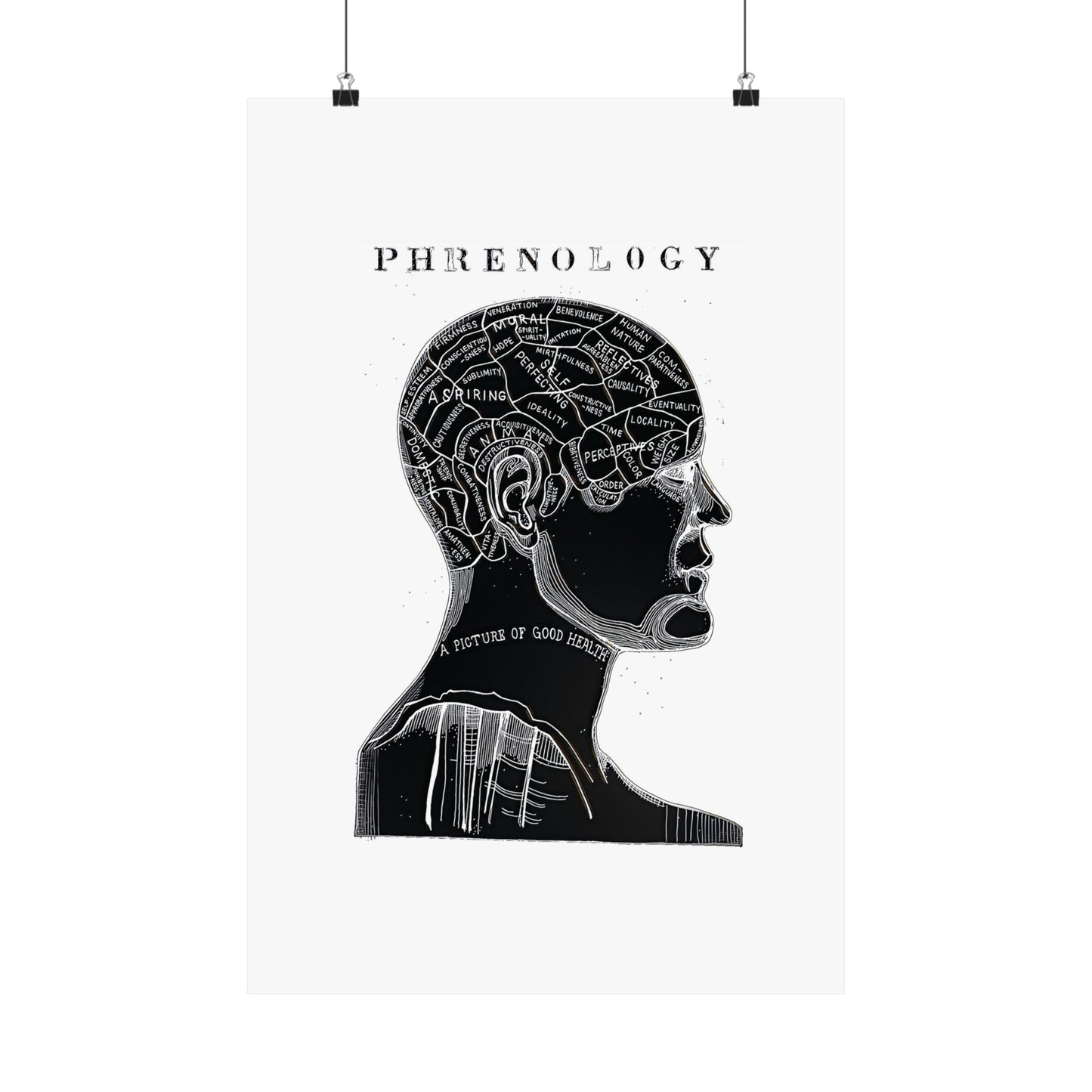 Premium Matte vertical poster Phrenology Midnight