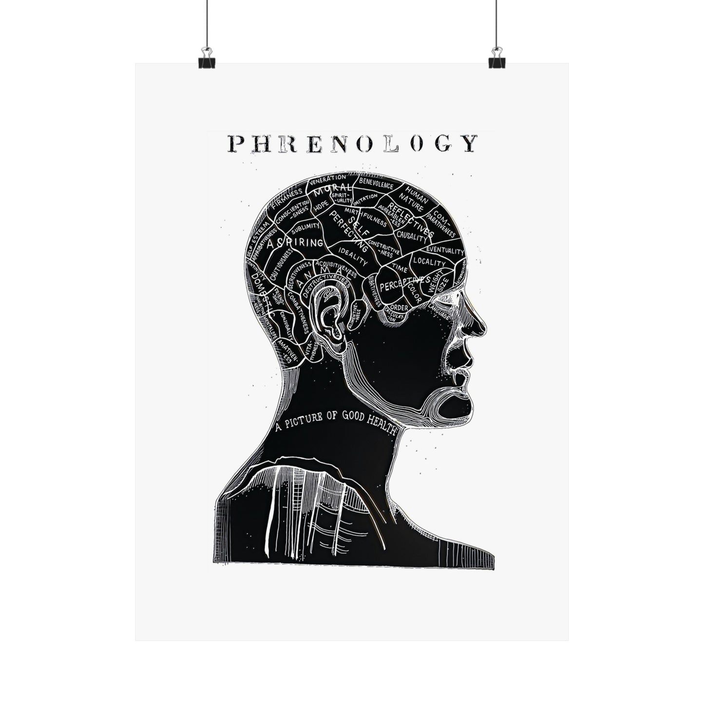 Premium Matte vertical poster Phrenology Midnight