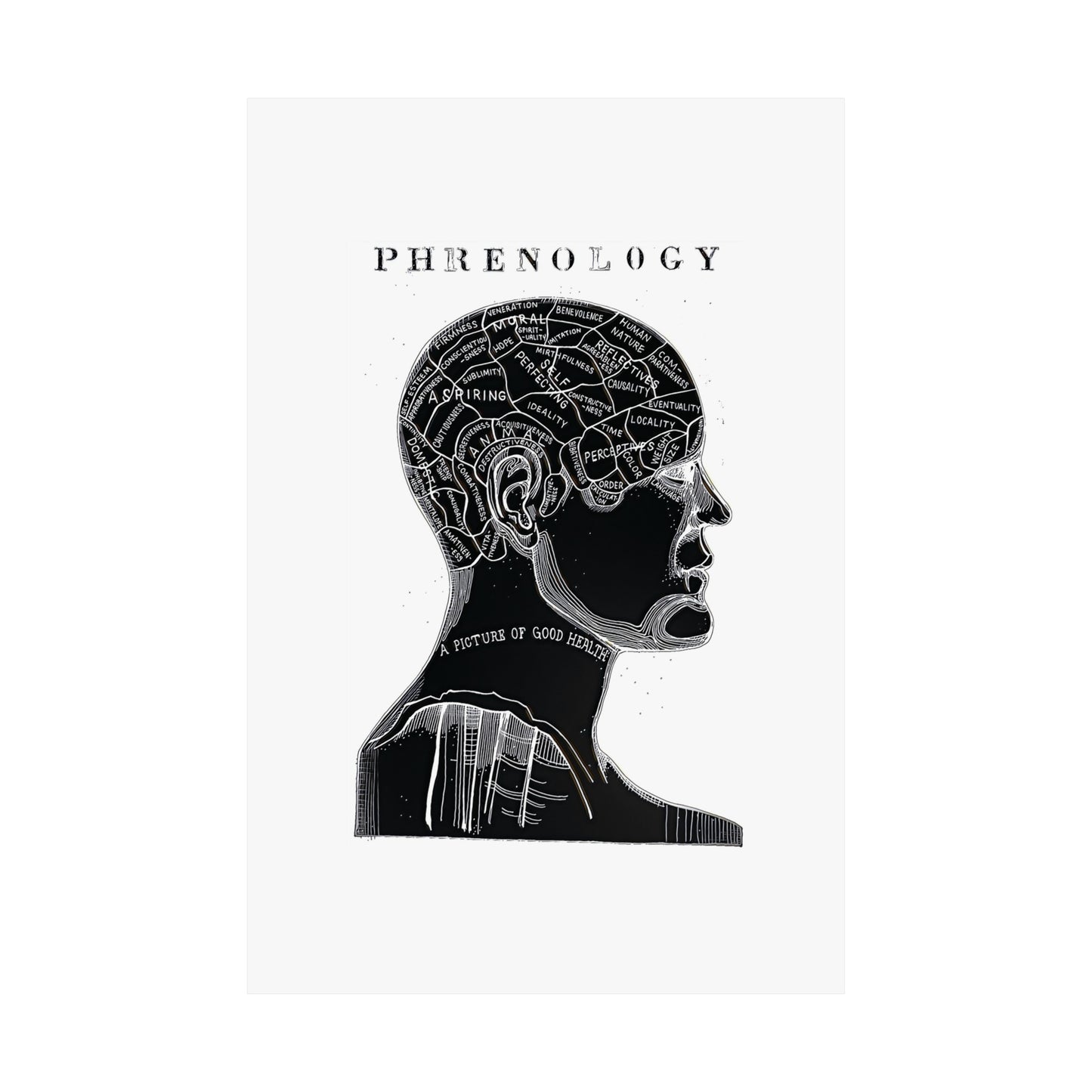 Premium Matte vertical poster Phrenology Midnight