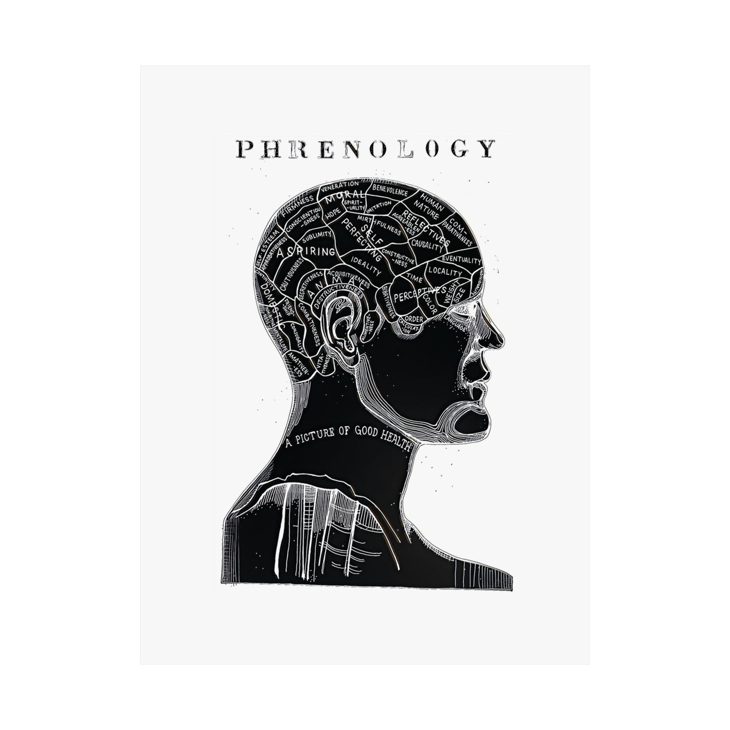 Premium Matte vertical poster Phrenology Midnight