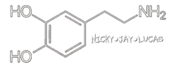 The dopamine shop logo